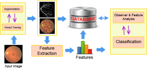 Retinal image processing